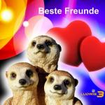 02-04-2017 - sa-promotion - Ludwig 3.jpg